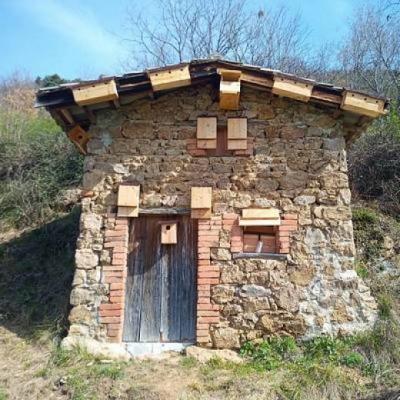 Visuel actualité Réhabilitation de cabanon viticole Cave Saint Désirat